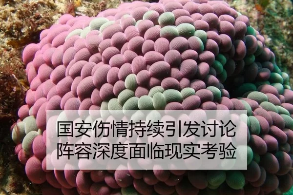 国安伤情持续引发讨论 阵容深度面临现实考验